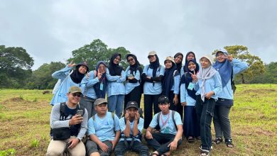 ums