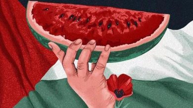 semangka palestina