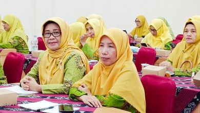 majelis kesehatan 'aisyiyah