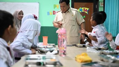 pemangkasan pendidikan