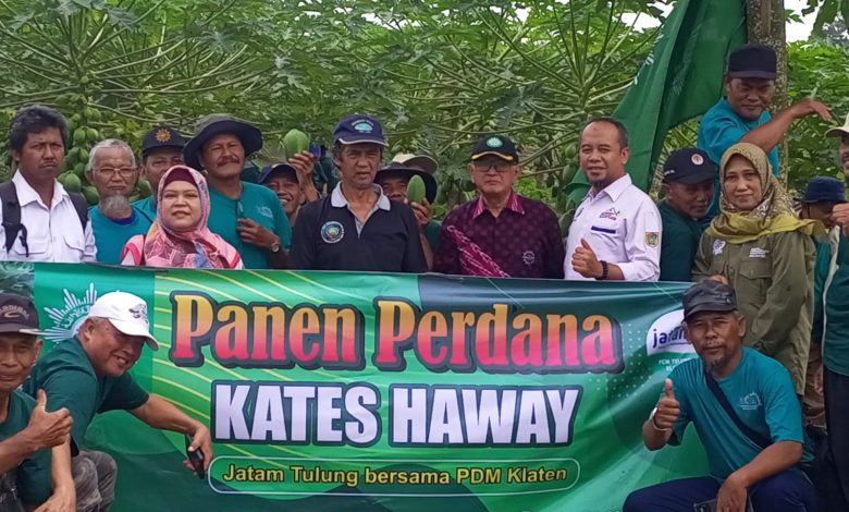 kates hawai tulung