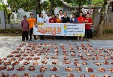 lazismu pekalongan
