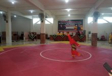 mustika cup