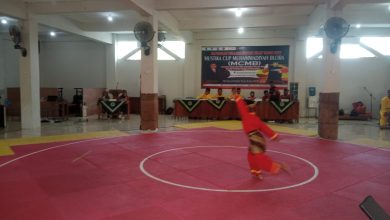 mustika cup