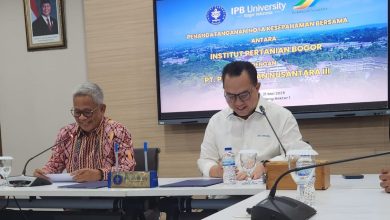 ipb university