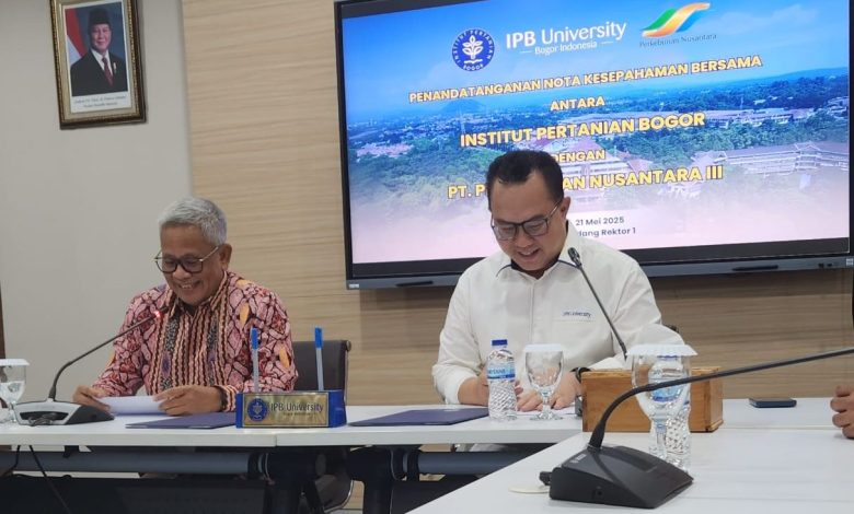 ipb university