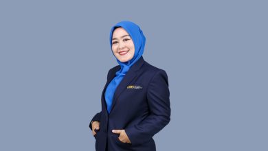 fisioterapi ums