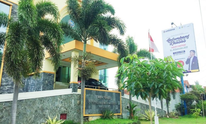 unimma
