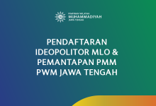 ideopolitor MLO