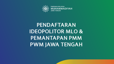 ideopolitor MLO