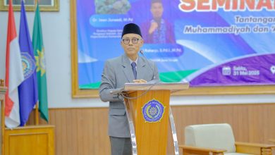 rektor ums