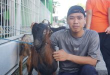 sd muhammadiyah palur