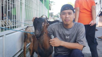 sd muhammadiyah palur