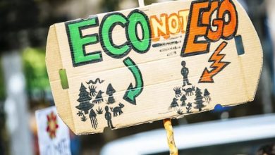 greenwashing