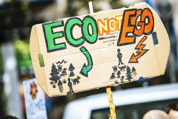greenwashing
