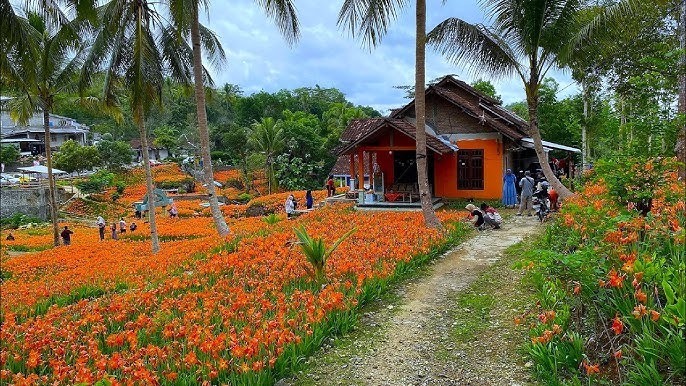 muhammadiyah di desa