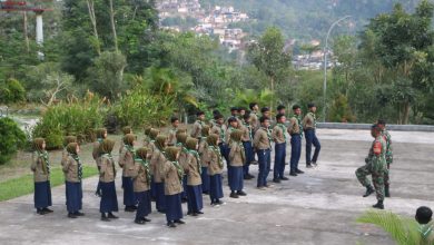 smk mutiara