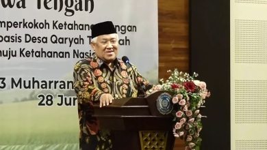 din syamsuddin