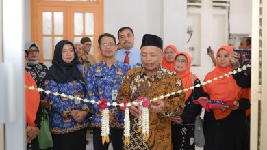 sekolah lansia