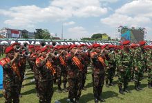 kokam tegal