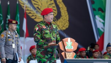 dzulfikar