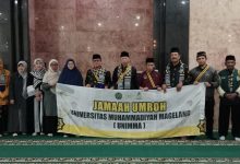 unimma