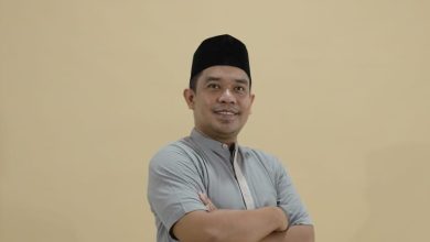 peternakan babi
