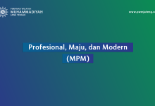 PMM