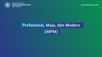 PMM