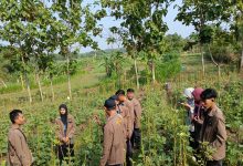 STAI Muhammadiyah Blora