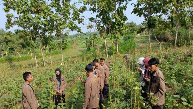 STAI Muhammadiyah Blora