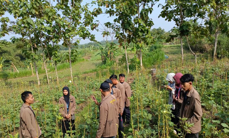 STAI Muhammadiyah Blora