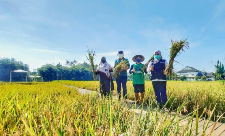 Jamnas Jatam