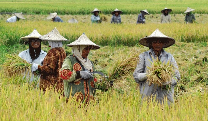 masyarakat
