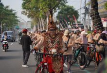 unimma