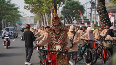 unimma