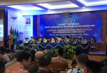 unimma