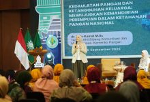 ketahanan pangan