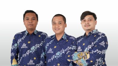 unimma