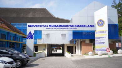 unimma