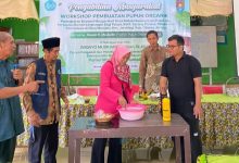 pupuk organik