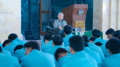 rektor ums