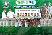 PT Mentari Niaga Utama