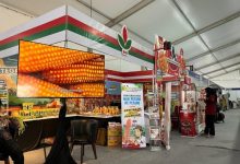 Jamnas JATAM