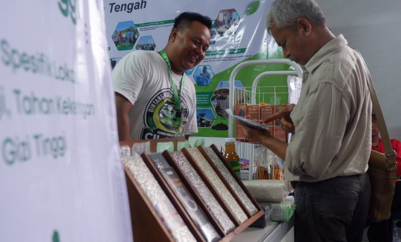 beras premium
