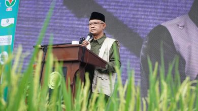 haedar nashir