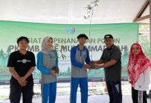 Stie Muhammadiyah Cilacap