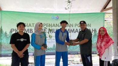Stie Muhammadiyah Cilacap