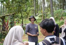 unimma