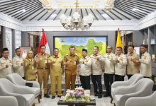 pemuda muhammadiyah